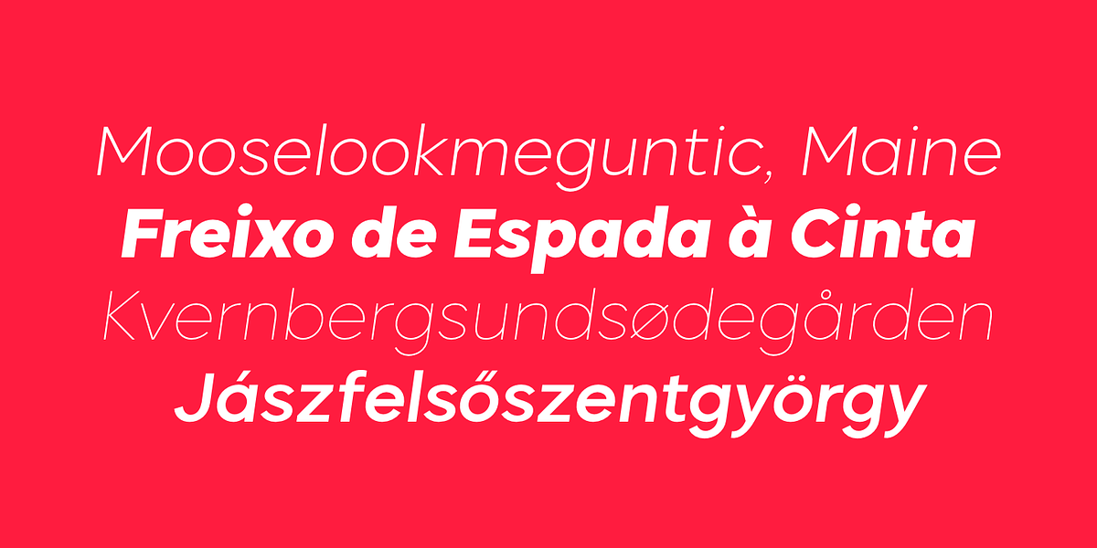 Biotic, a Sans Serif Font by TypeUnion (Photo 14 of 15)