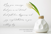Gladioss Feather Luxury Script Font, a Script Font by Storytype Studio (Thumbnail 6 of 15)