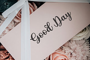 Stylish Script, a Script Font by Bosstype Studio (Thumbnail 7 of 7)