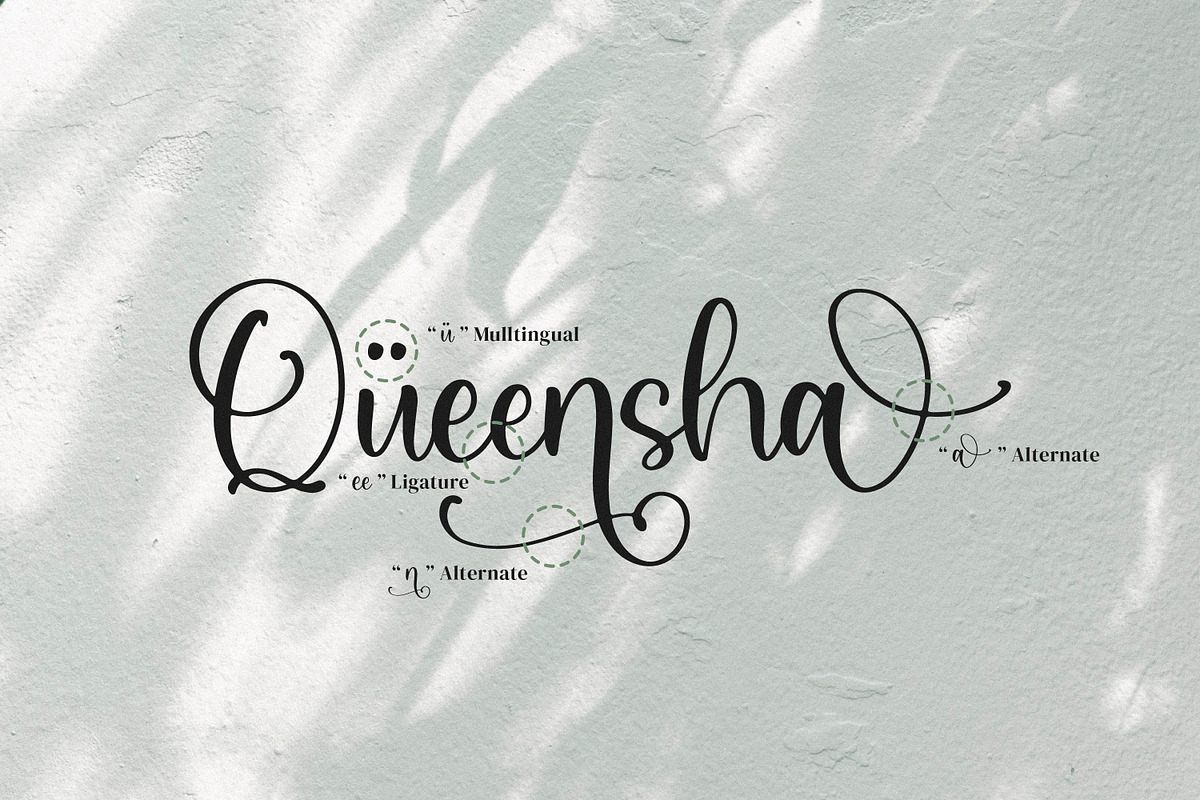 Qianetta, a Script Font by Integritype Studio (Photo 14 of 15)