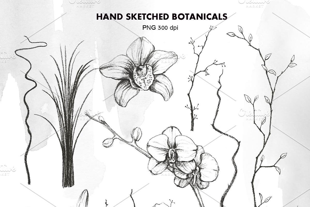 IKEBANA. Botanical Winter Kit., an Illustration by Pink Ocean (Photo 12 of 16)