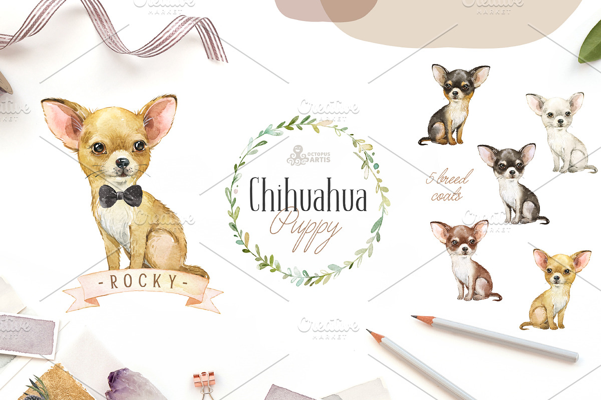 Puppy Paws 3. Watercolor Collection, an Illustration by OctopusArtis (Photo 7 of 11)