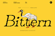 Rivania Pixel, a Serif Font by Craft Supply Co. (Thumbnail 6 of 8)
