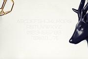 Bosnia - Sans Serif font | 2 styles, a Sans Serif Font by VP Fonts (Thumbnail 9 of 10)
