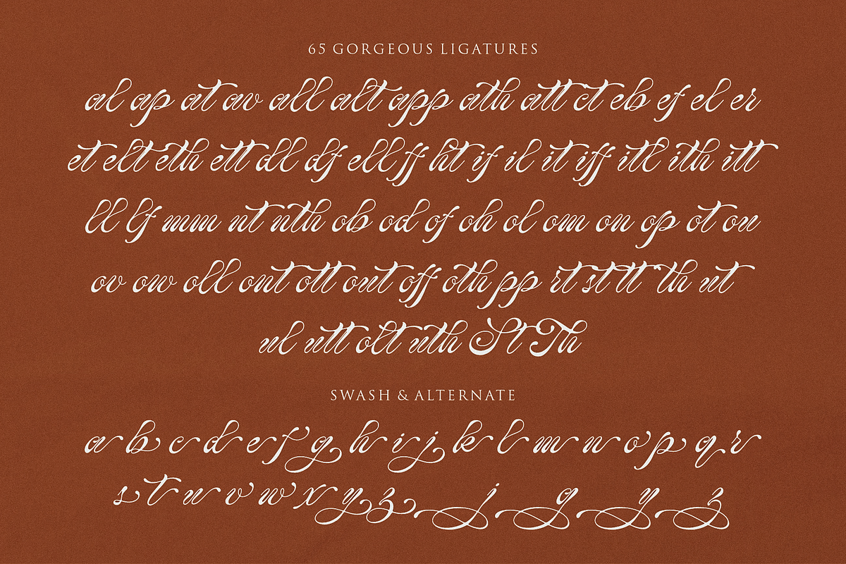 Holy Mary – Modern Calligraphy Font, a Script Font by RedyStudio (Photo 12 of 13)