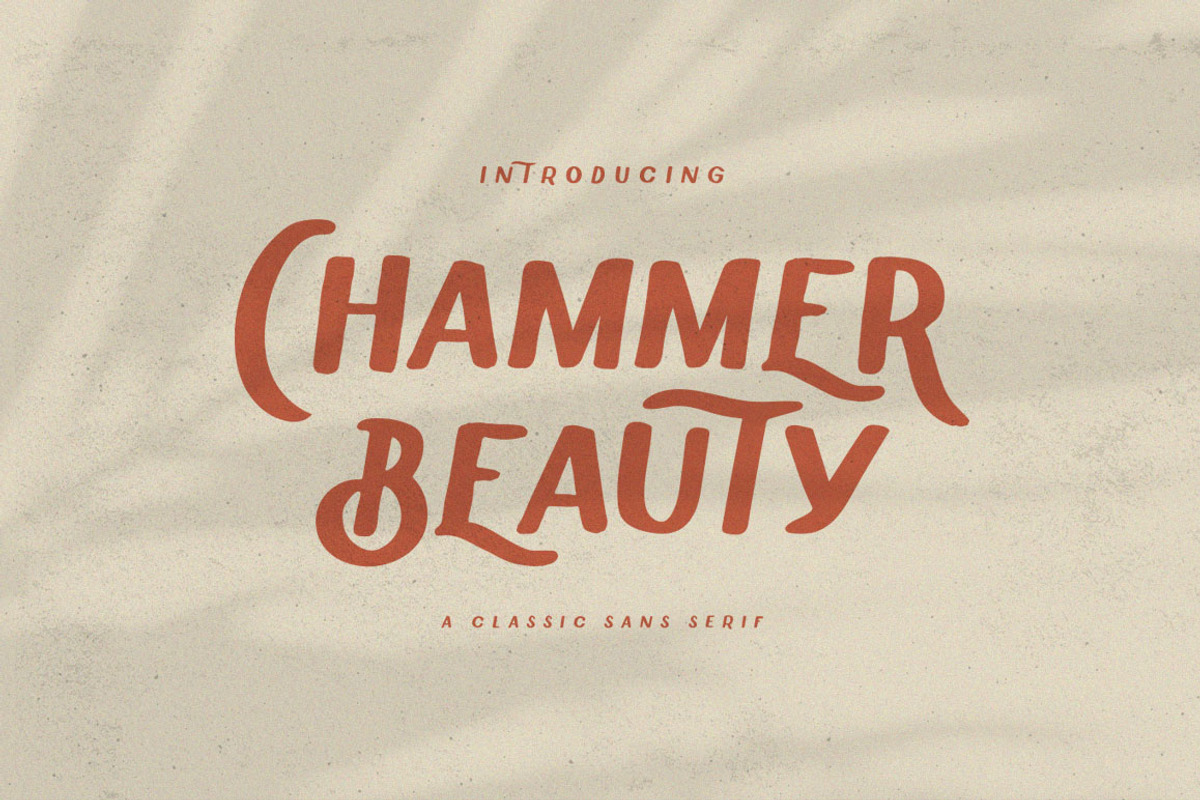 Chammer Beauty - Classic Sans DISC%, a Sans Serif Font by Anxiety Studio (Photo 15 of 15)