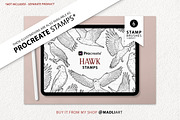 Hawk Falcon Bird Vector Line Art Set, an Animal Illustration by MadliArt (Thumbnail 4 of 4)