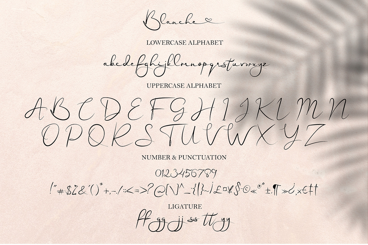Blanche - Signature Font, a Script Font by erlosDESIGN (Photo 12 of 15)
