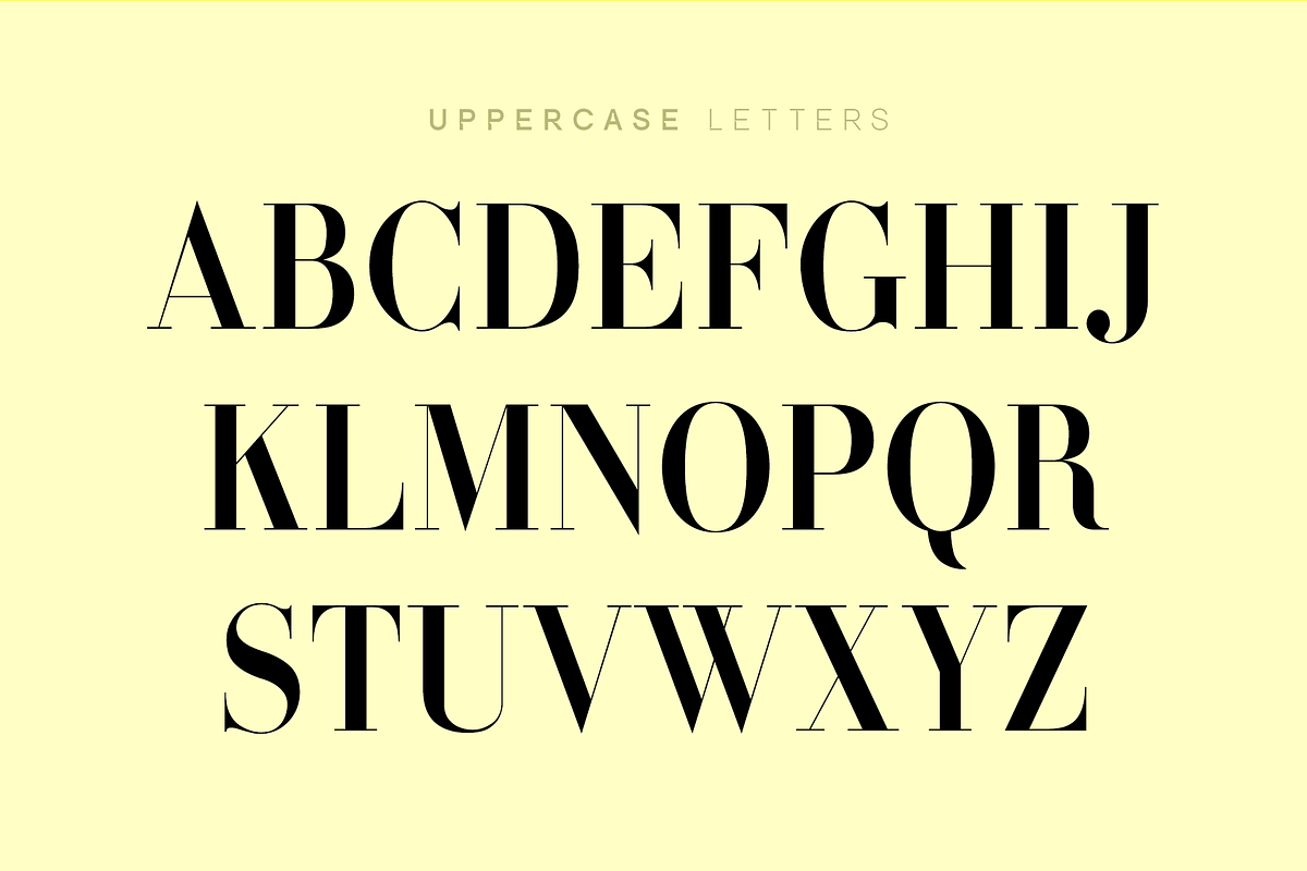 Bavex Pro Font, a Serif Font by FG Studios (Photo 3 of 3)