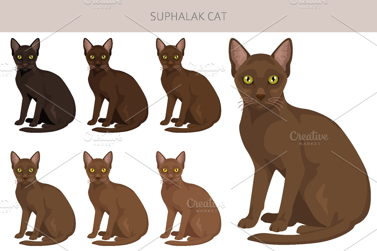 Suphalak cat clipart, an Animal Illustration by pet design shop (Photo 3 of 6)