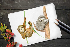 Sloth. Watercolor Clipart.