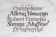 Voster Noise, a Serif Font by Propertype (Thumbnail 3 of 10)