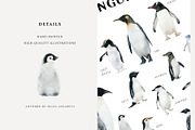 Watercolor penguins. Winter animals, an Animal Illustration by Diana Askarova Art (Thumbnail 5 of 6)