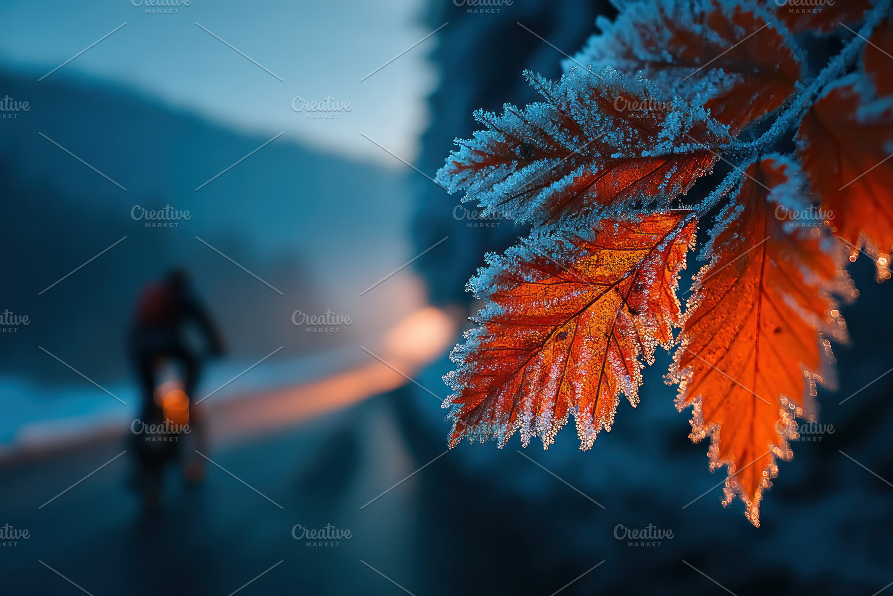 Closeup of frosted orange leaves with blurred cyclist riding thr, a Person Photo by José Manuel Gelpi