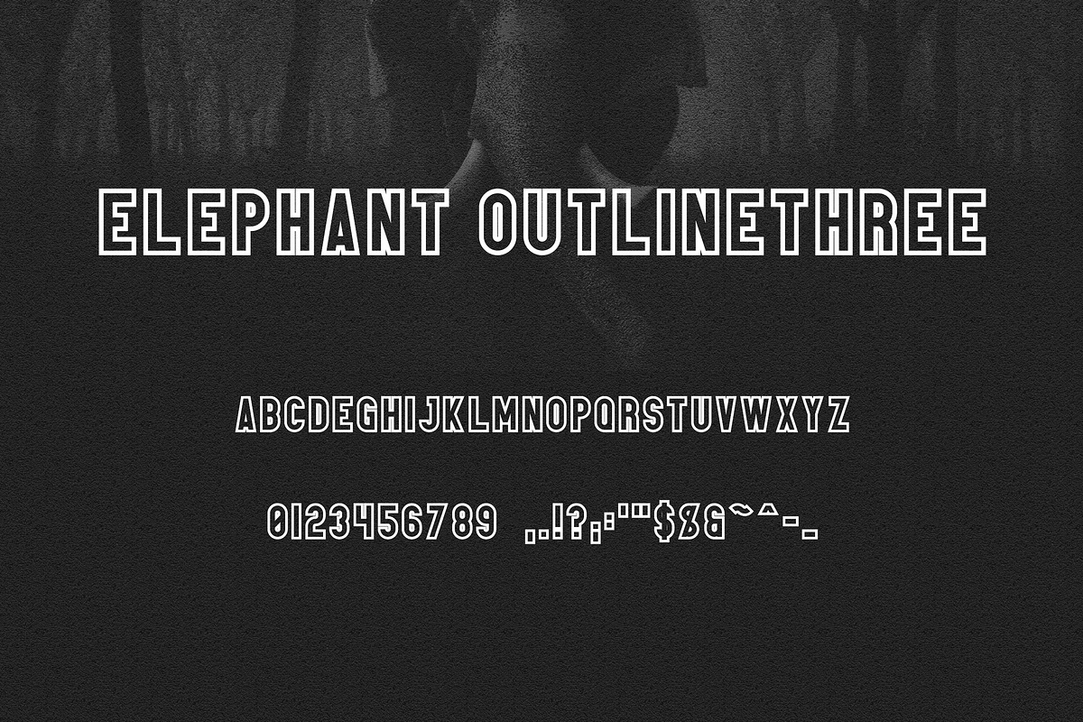 Elephant Font Family -50%, a Sans Serif Font by VP Fonts (Photo 13 of 14)