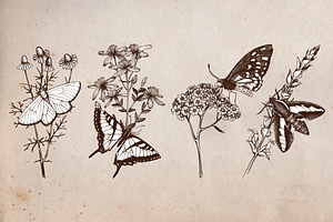 Vintage Butterflies Collection