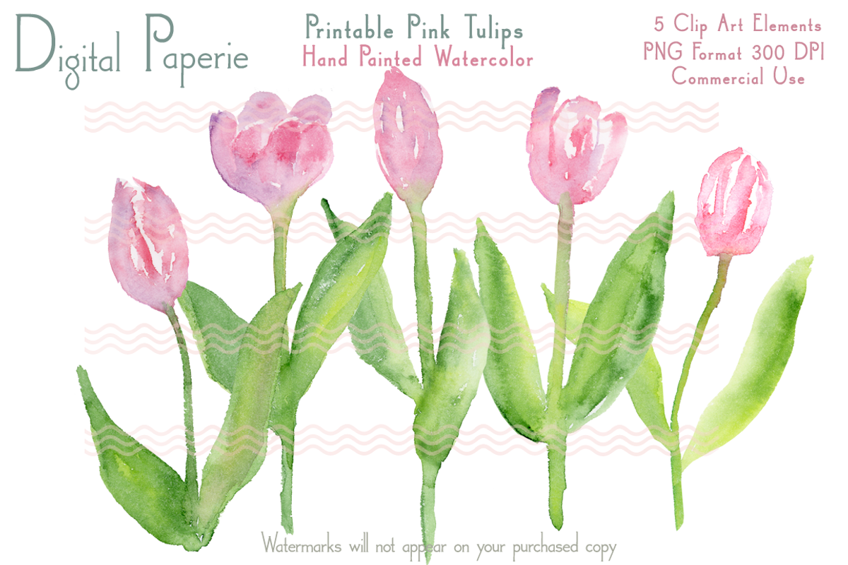 Digital Pink Watercolor Tulips, an Illustration by Digital Paperie