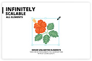 36 Tropical Elements + 12 Patterns, an Object Graphic by monkik (Thumbnail 10 of 11)