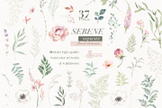 Serene. Watercolor Collection, an Illustration by OctopusArtis (Thumbnail 6 of 7)