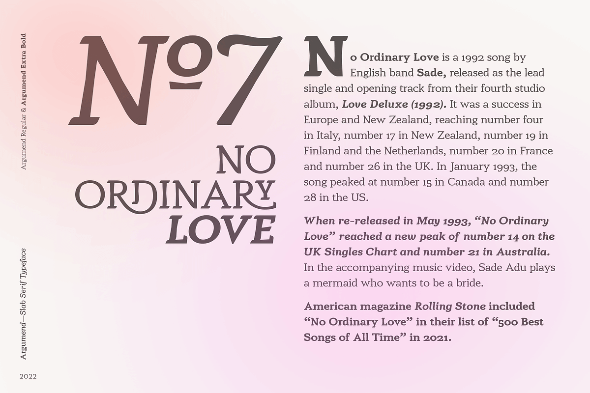 Argumend | A Humanistic Slab Serif, a Slab Serif Font by Ayca Atalay (Photo 4 of 8)