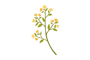 Aromatherapy natural, an Object Illustration by Things for designers