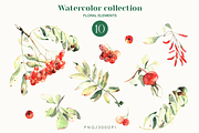 Watercolor rowanberry autumn clipart, a Seasonal Illustration by Harmony Draws (Thumbnail 2 of 8)