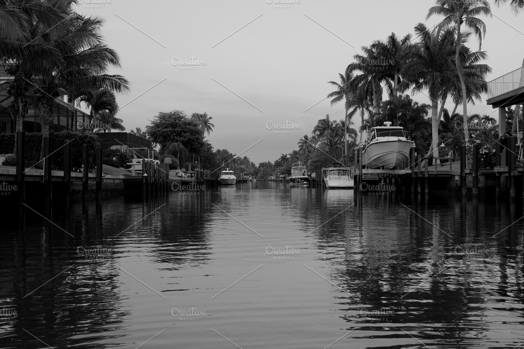 A Canal In Florida
