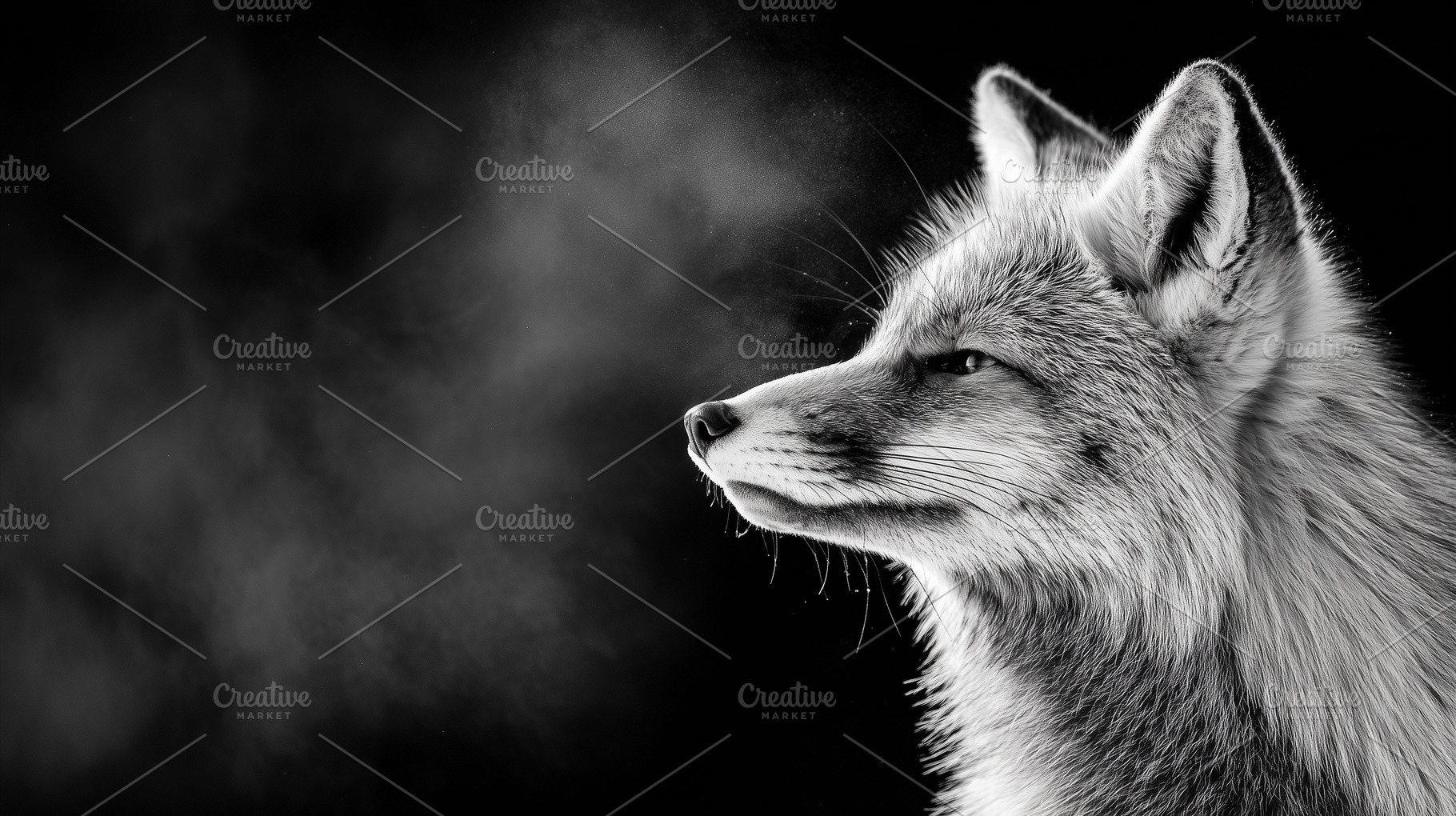 Black and white portrait of a fox, an Animal Photo by MistyDay