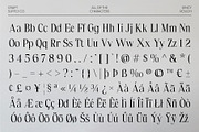 Dincy Rough, a Serif Font by Craft Supply Co. (Thumbnail 8 of 8)