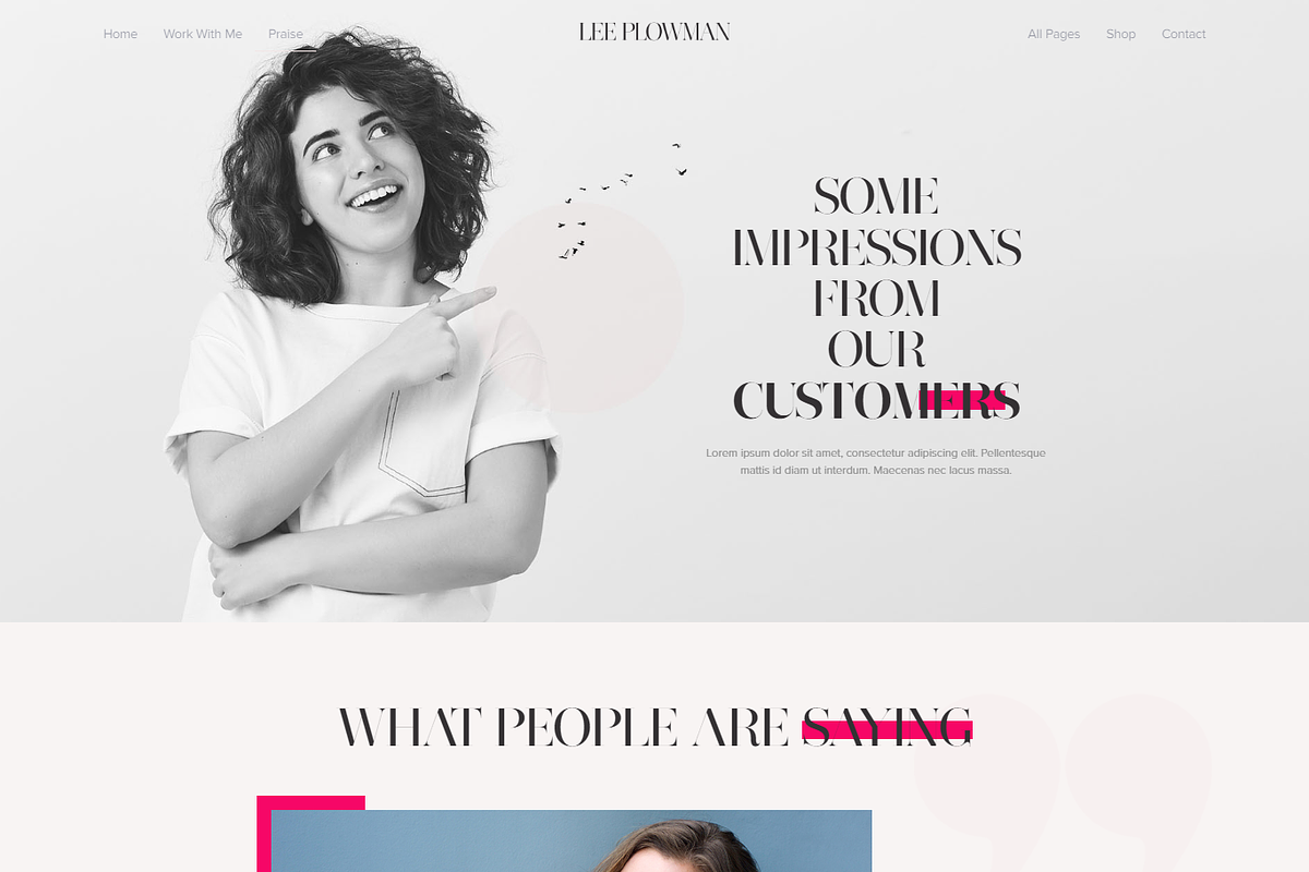 Lee Plowman WordPress Theme, a WordPress Template by Cubex Design (Photo 6 of 13)