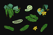 Different cucumbers, hand-drawn set, a Food Illustration by Good Studio (Thumbnail 4 of 5)