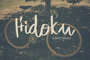 Hidoku Script Typeface