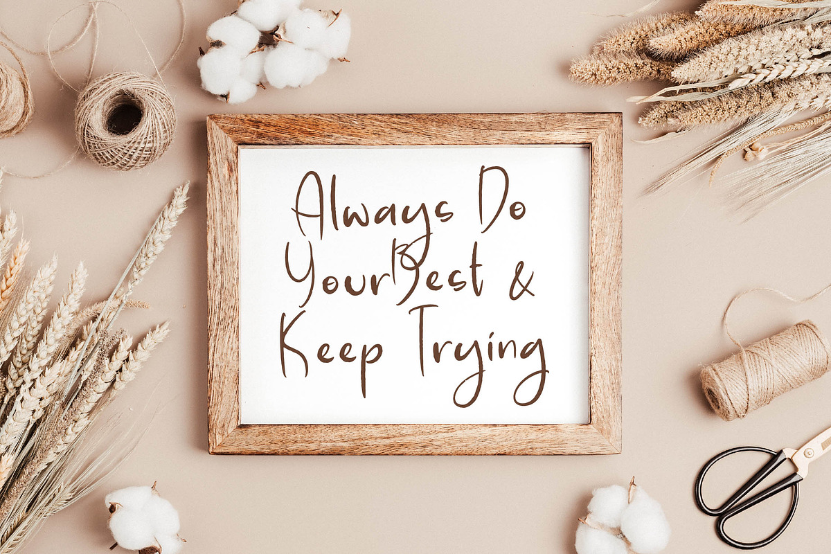 Pelanque Sparkle, a Script Font by Integritype Studio (Photo 15 of 15)