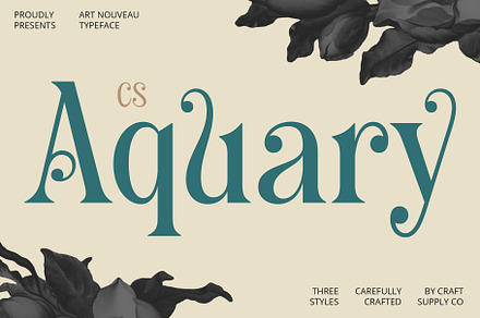 CS Aquary – Fantasy Font, a Serif Font by Craft Supply Co.