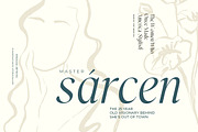 Rainfolk - Classic Minimalist Serif, a Serif Font by Sarid Ezra (Thumbnail 8 of 10)