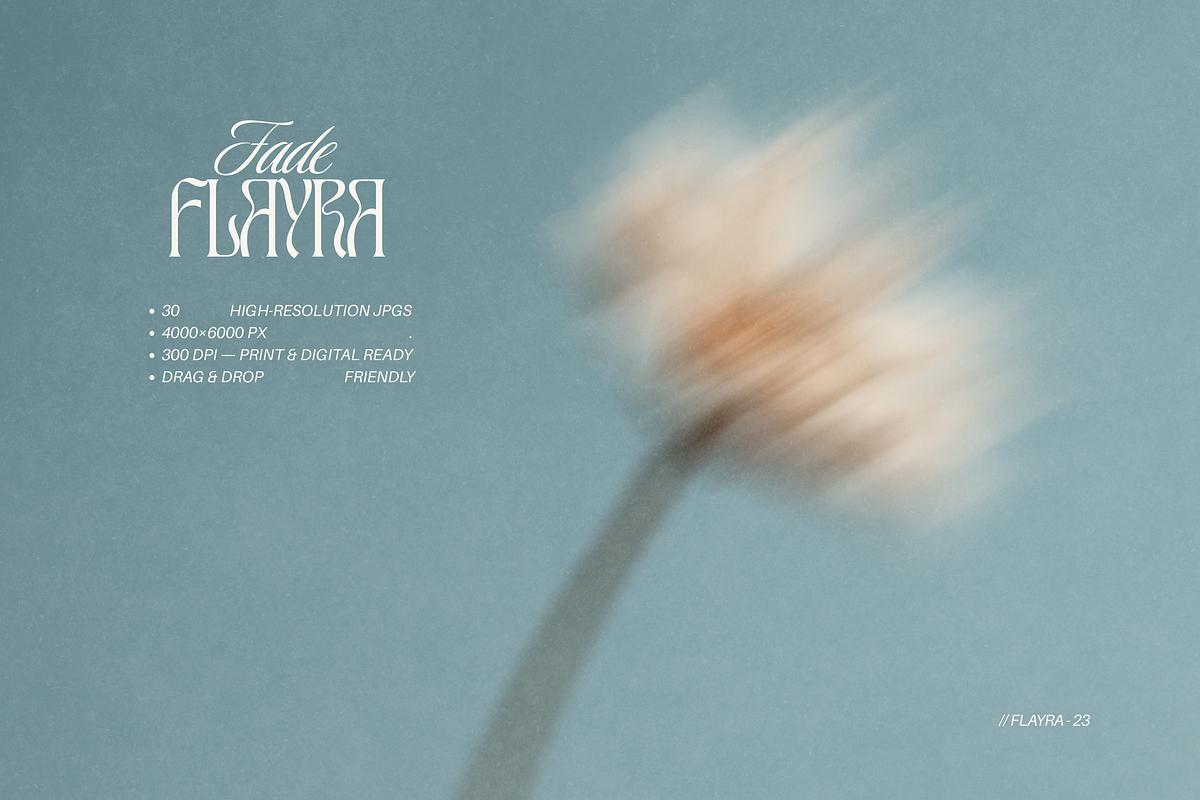 FLAYRA: 30 Blurry Abstract Florals, a Background Graphic by Veyla (Photo 3 of 12)