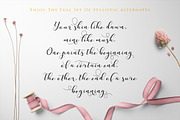 Nafigat Script, a Script Font by Stipline Studios (Thumbnail 8 of 14)