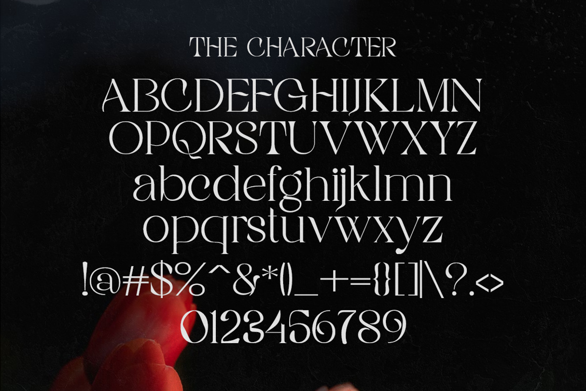 Rigata, a Serif Font by Gatype (Photo 11 of 12)