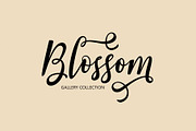Smonthia Script, a Script Font by Jhoel Design (Thumbnail 5 of 7)