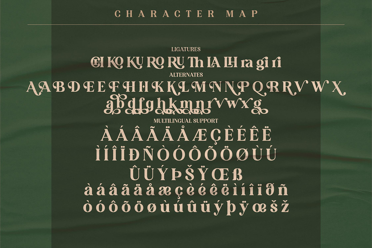 KAKURO Classy Serif Font, a Script Font by Storytype Studio (Photo 8 of 9)
