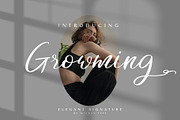 Growming, a Script Font by Wildan Type (Thumbnail 1 of 10)