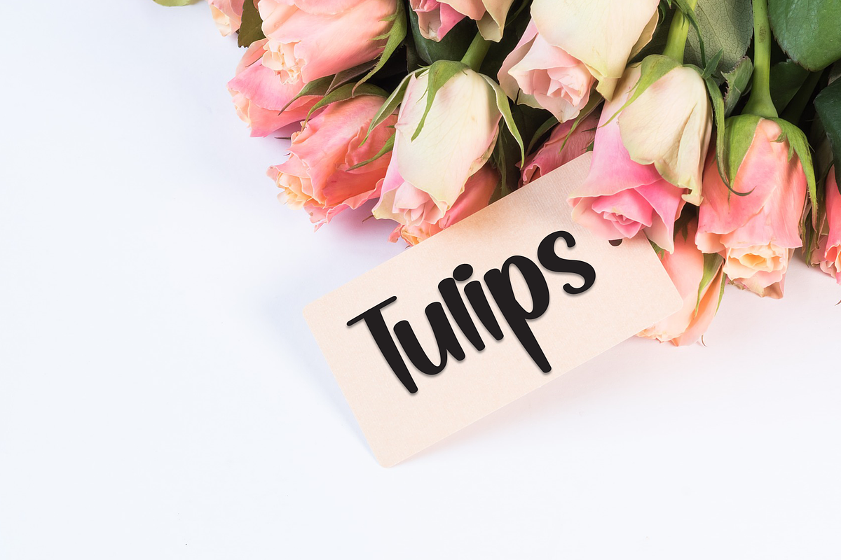 Hello Sunshine | Script Font, a Handwritten Font by Scratchones (Photo 2 of 9)