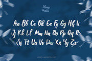 Ohany Musim - Brush Script, a Handwritten Font by Samtiv Studio (Thumbnail 5 of 7)