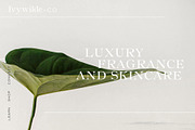 Violet JW Professional Font Duo, a Serif Font by Jen Wagner Co (Thumbnail 6 of 13)