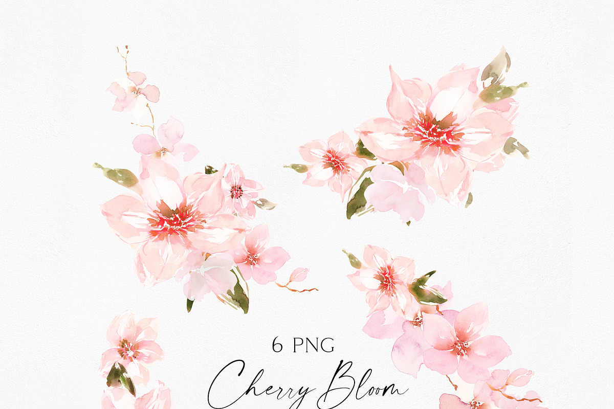 Watercolor Cherry Blossom, an Illustration by Olga Koelsch (Photo 7 of 9)