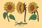 15 Set Sunflower Sunshine Clipart, an Illustration by Morspective (Thumbnail 4 of 7)