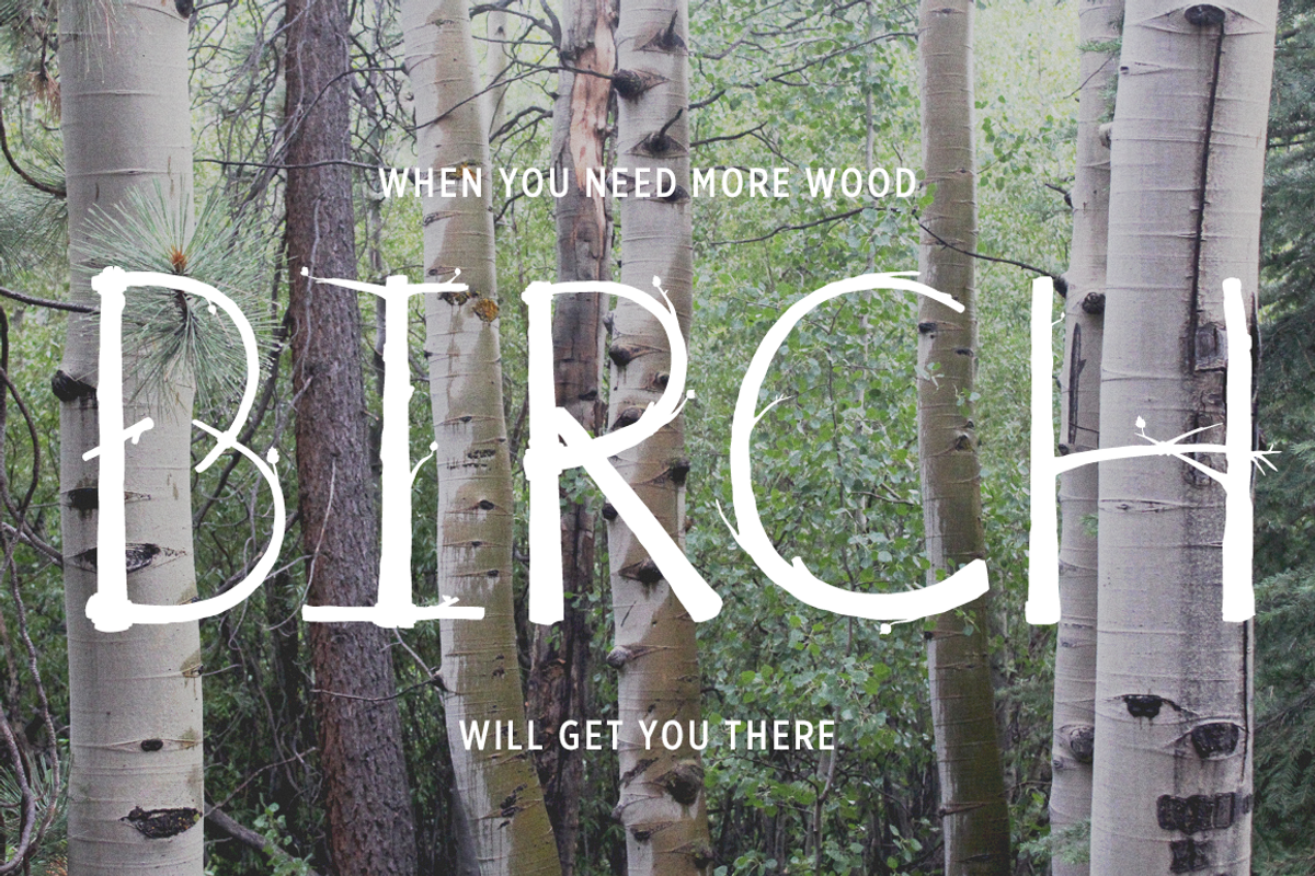 Birch Is Right Here - Fill preview 2