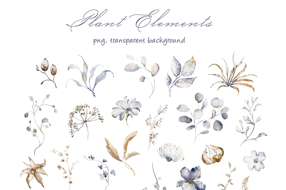 Dried Flowers Watercolor Collection, a Decorative Illustration by LenArt (Photo 8 of 12)