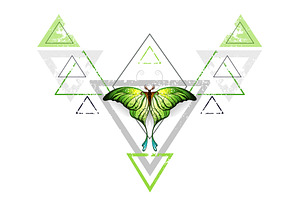 Geometric Pattern Green Butterfly