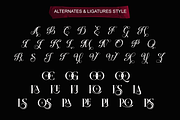 Solarie Halsy - Elegant Serif Font, a Serif Font by RagamKata (Thumbnail 9 of 10)